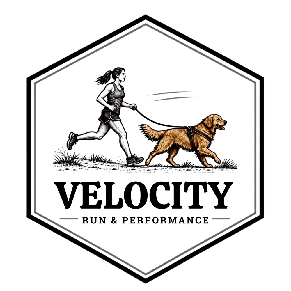 Velocity Series performance dog gear illustration featuring a runner and dog in motion