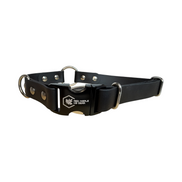 Black BioThane center-ring dog collar with stainless steel D-ring, rivets, and quick-release buckle