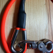 BirdLine 3' Training Lead