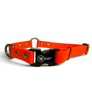 Blaze orange BioThane center-ring dog collar with brass D-ring and quick-release buckle