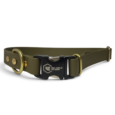 Olive green BioThane TrailSide dog collar with solid brass D-ring and quick-release buckle