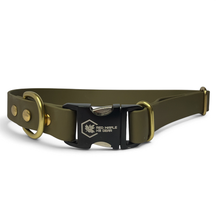 Olive green BioThane TrailSide dog collar with solid brass D-ring and quick-release buckle