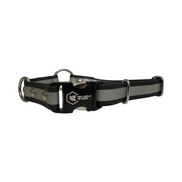 Onyx reflective BioThane center-ring dog collar with stainless hardware and engraved buckle