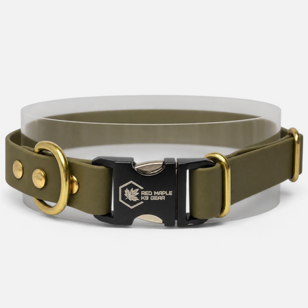 Olive BioThane TrailSide dog collar fastened, showing brass O-ring and engraved quick-release buckle